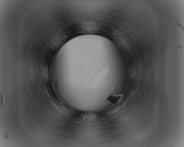 X0000093360599200710191058