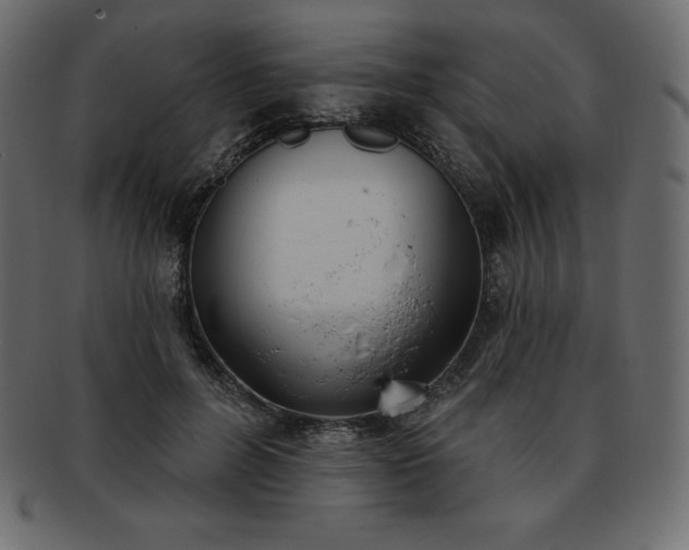 X0000093360600200710191058