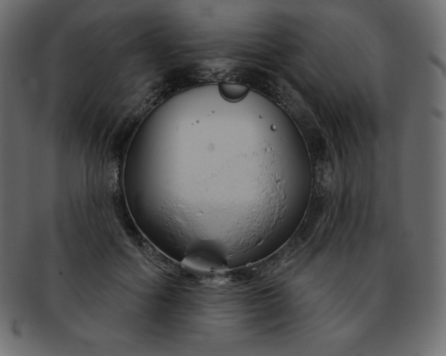 X0000093360602200710191058