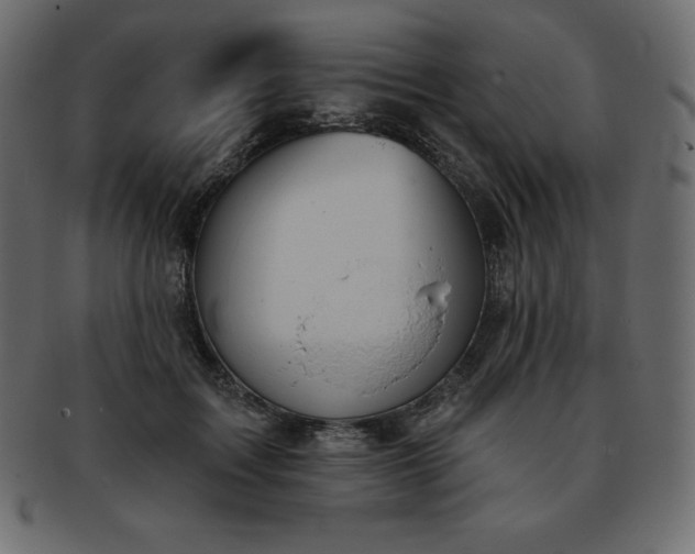 X0000093360603200710191058