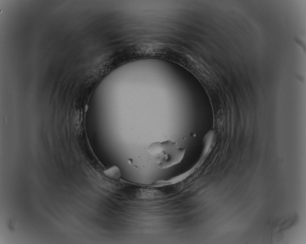 X0000093360605200710191058