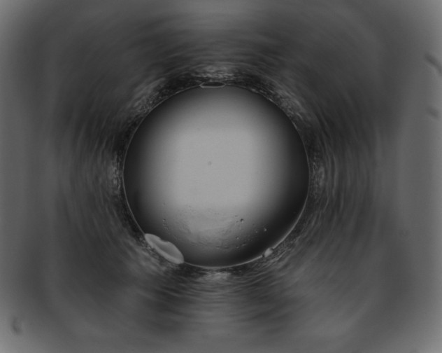 X0000093360609200710191058