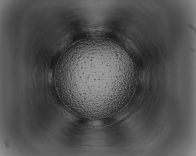 X0000093360610200710191058