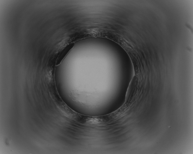 X0000093360611200710191058
