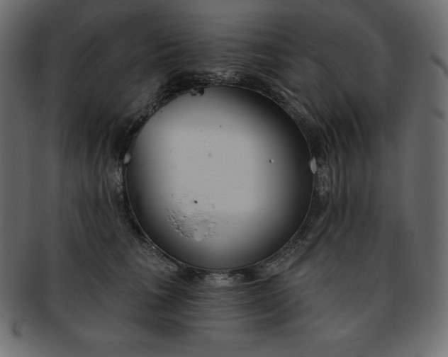 X0000093360613200710191058
