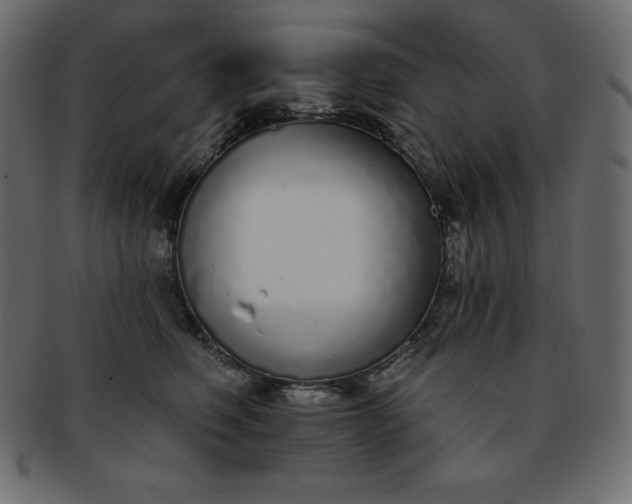 X0000093360614200710191058