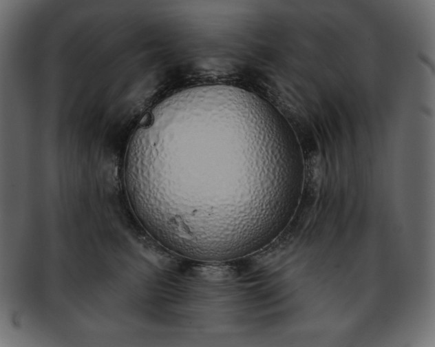 X0000093360615200710191058