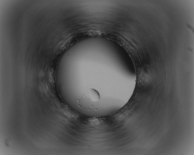 X0000093360616200710191058