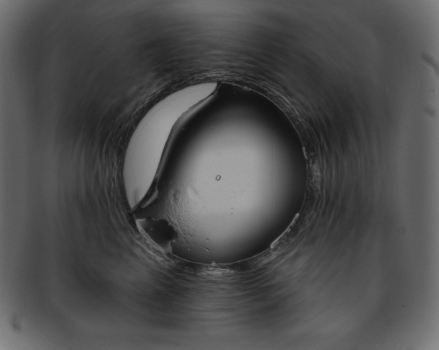 X0000093360617200710191058