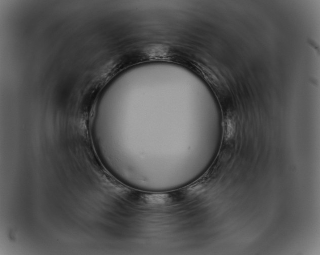X0000093360618200710191058