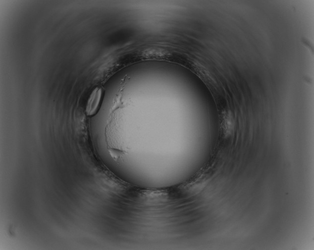 X0000093360619200710191058