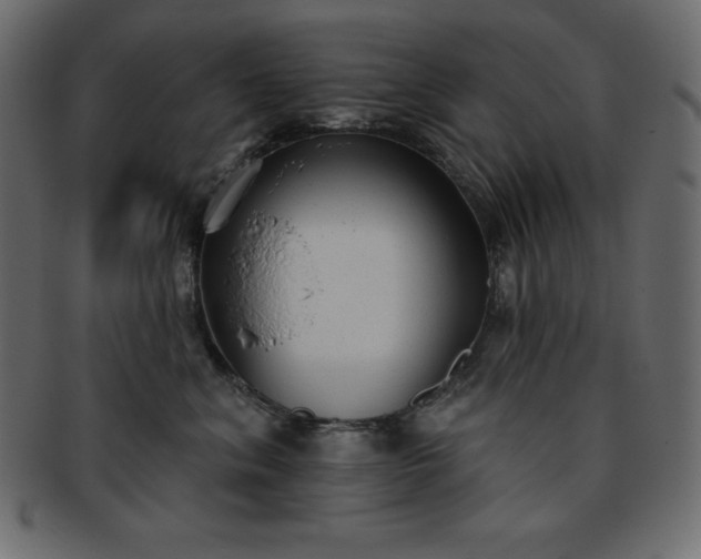 X0000093360620200710191058