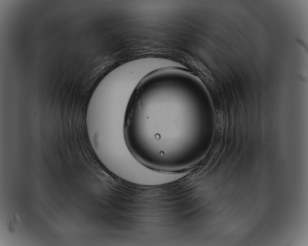X0000093360621200710191058