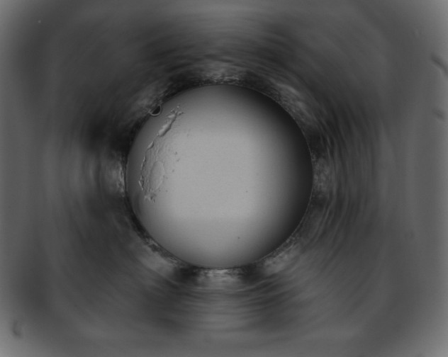 X0000093360622200710191058