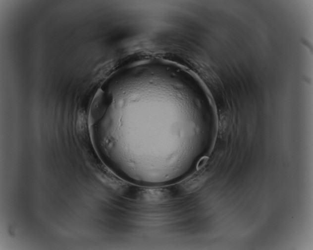 X0000093360623200710191058