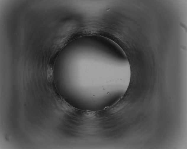 X0000093360624200710191058