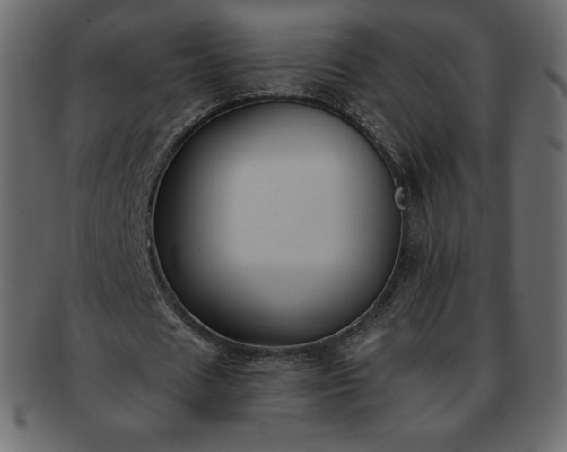 X0000093360625200710191057