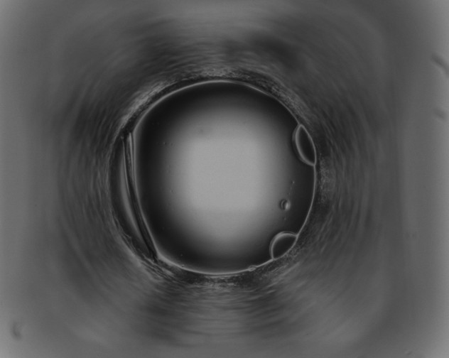 X0000093360626200710191057