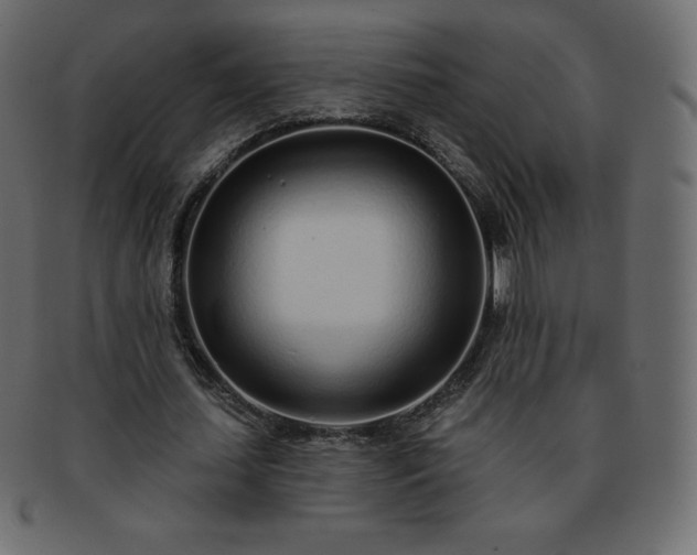 X0000093360627200710191057
