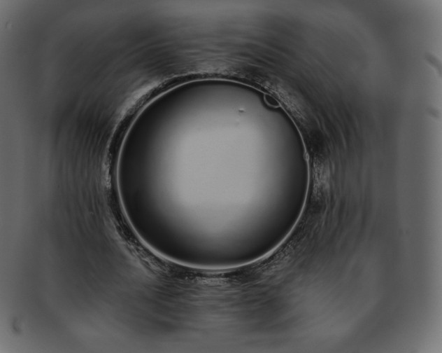 X0000093360628200710191057