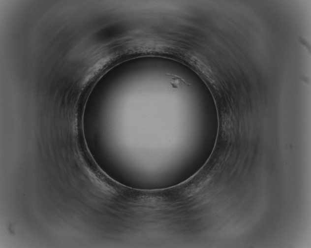 X0000093360629200710191057