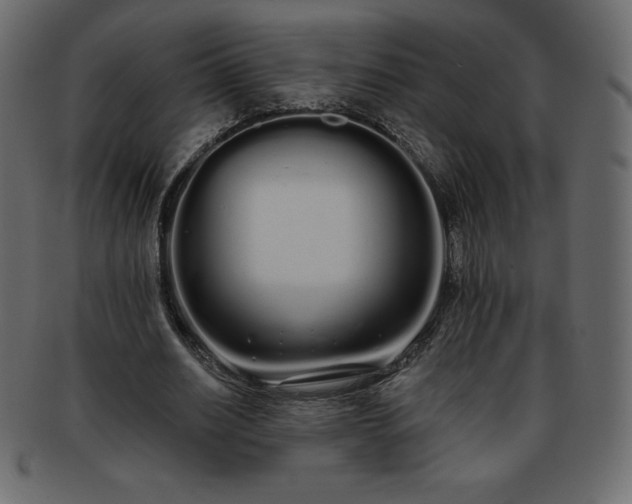 X0000093360630200710191057