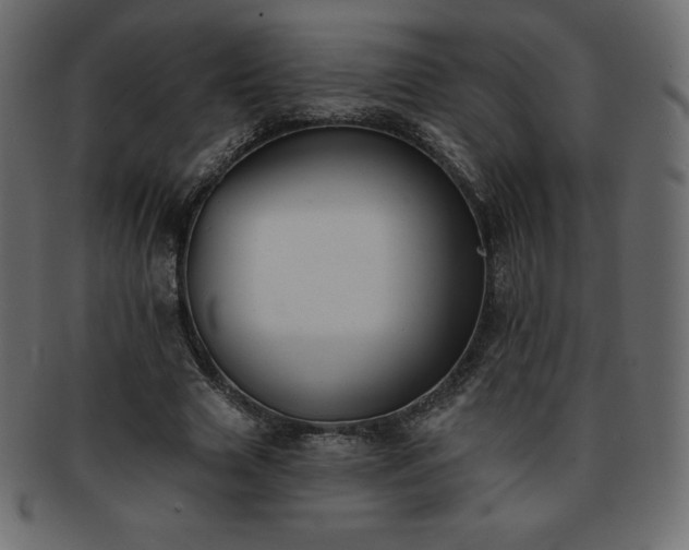 X0000093360633200710191057