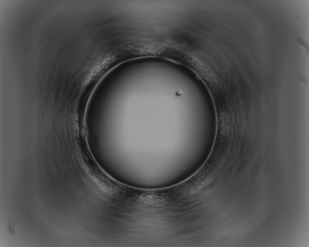 X0000093360634200710191057