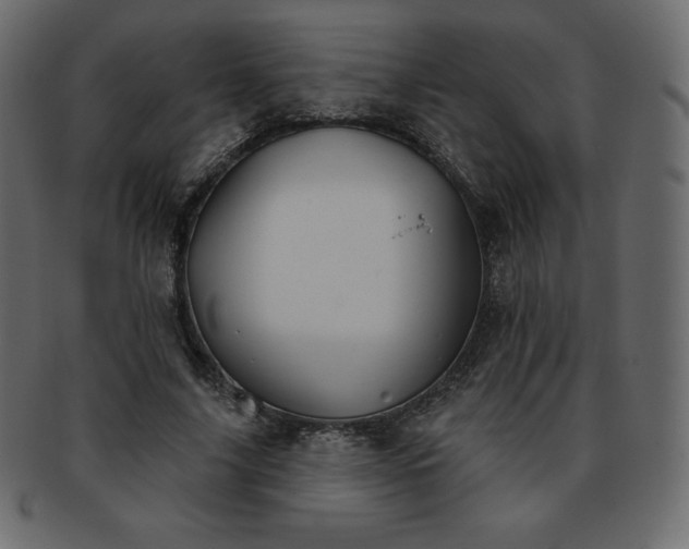 X0000093360635200710191058