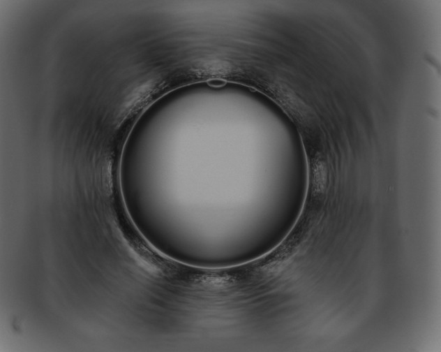 X0000093360638200710191058