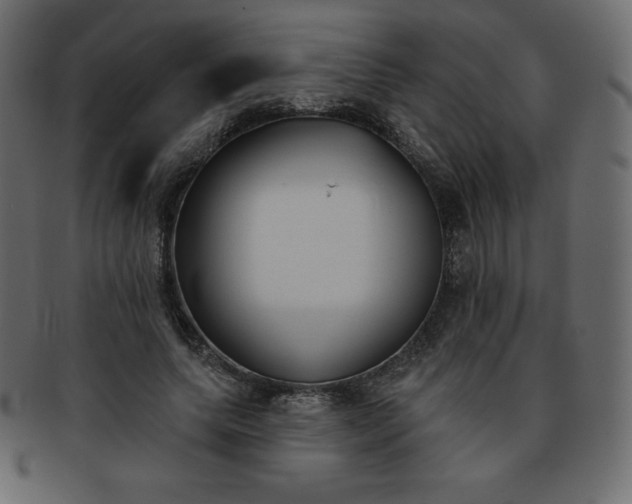 X0000093360639200710191058