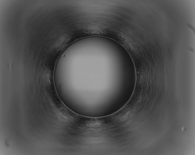 X0000093360643200710191058