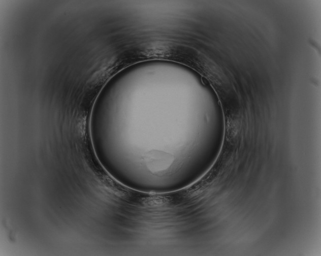 X0000093360652200710191058