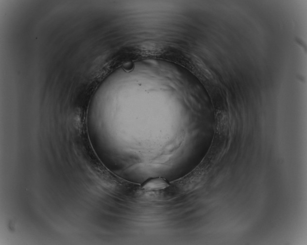 X0000093360655200710191058