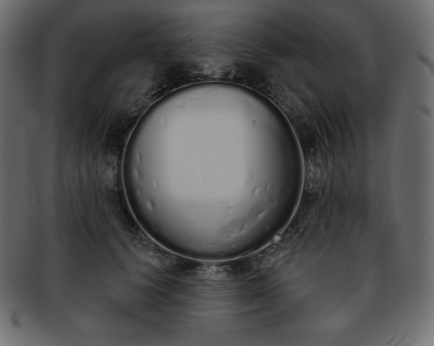 X0000093360656200710191058