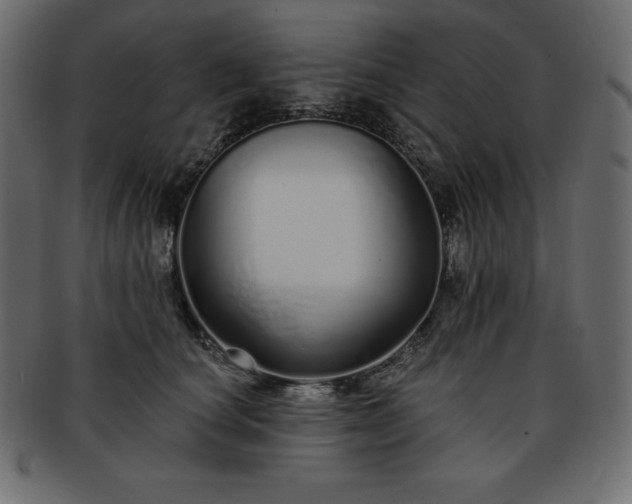 X0000093360660200710191058