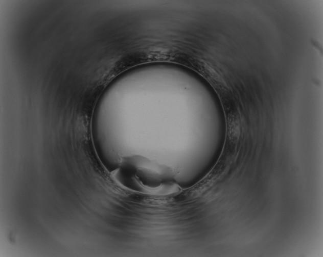 X0000093360661200710191058