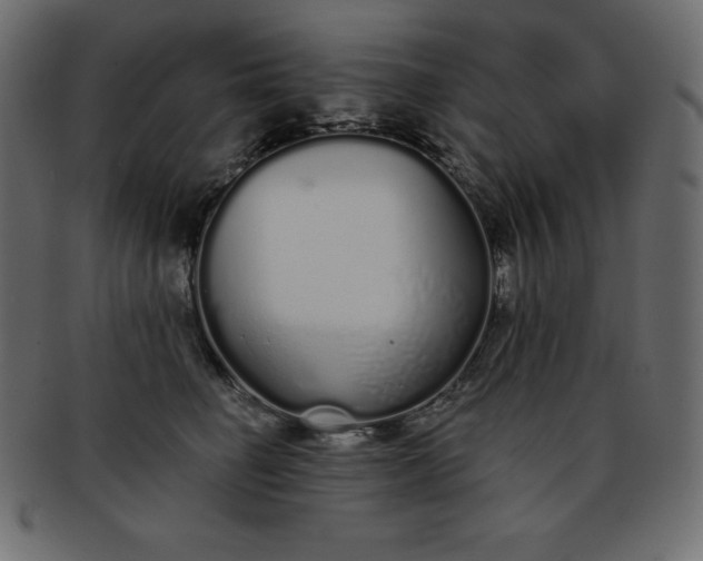 X0000093360662200710191058