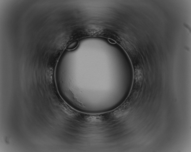 X0000093360664200710191058