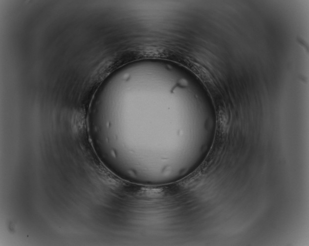 X0000093360665200710191058