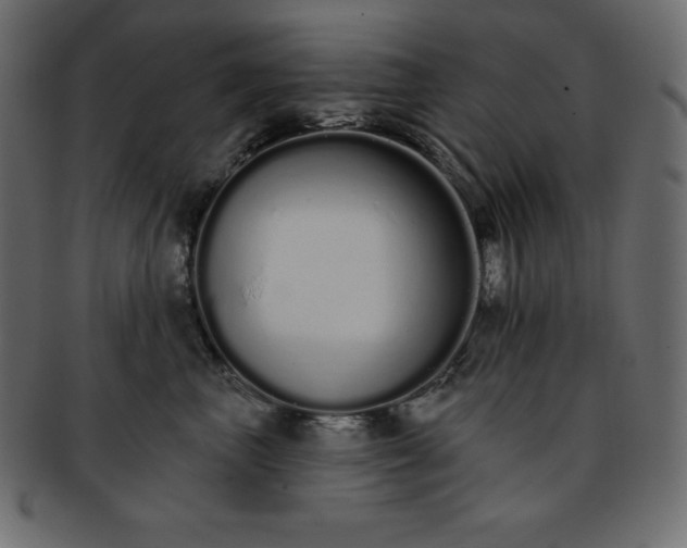 X0000093360667200710191058