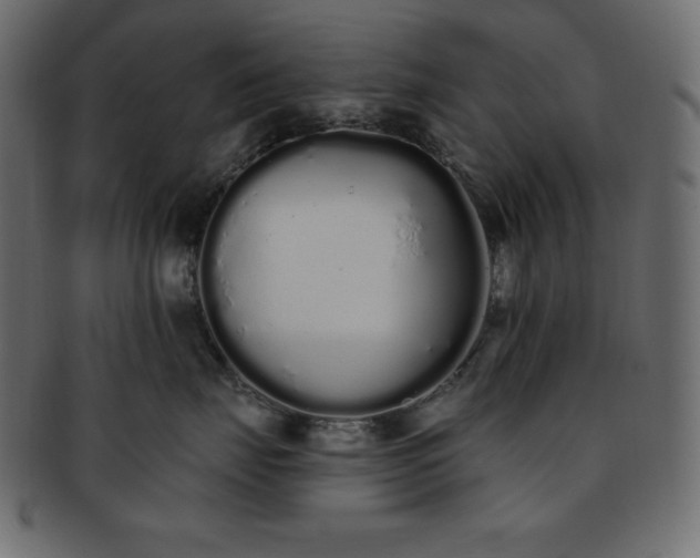 X0000093360671200710191058