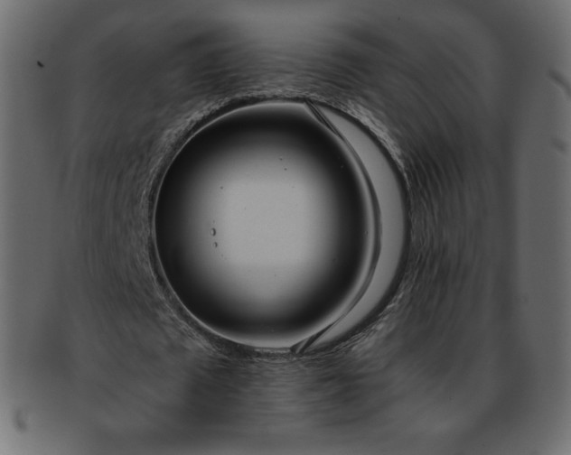 X0000093360673200710191057
