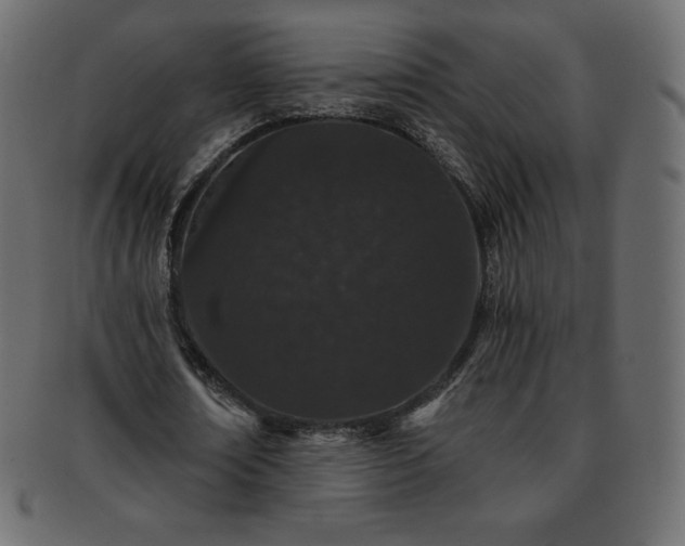 X0000093360674200710191057