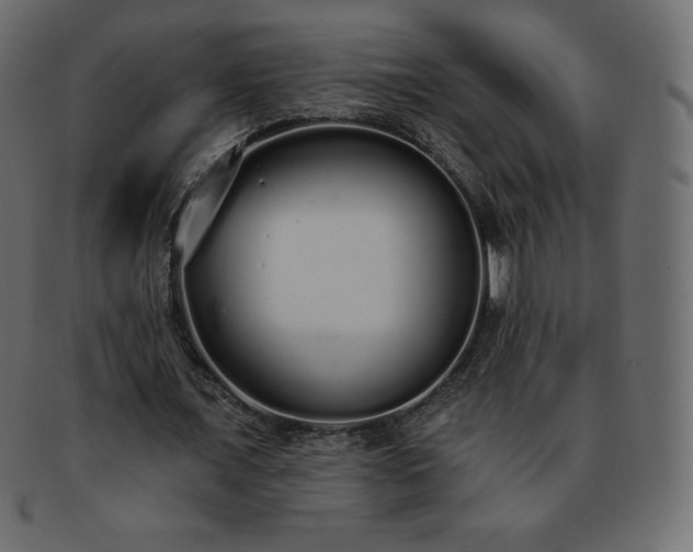 X0000093360675200710191057