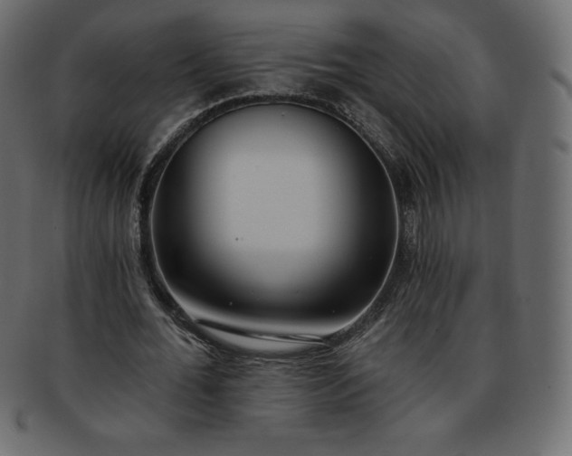 X0000093360676200710191057