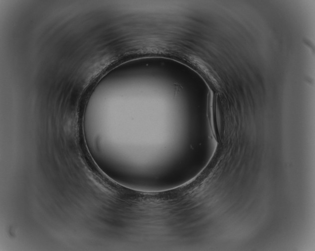 X0000093360677200710191057