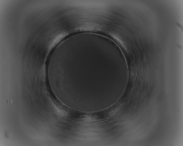 X0000093360678200710191057