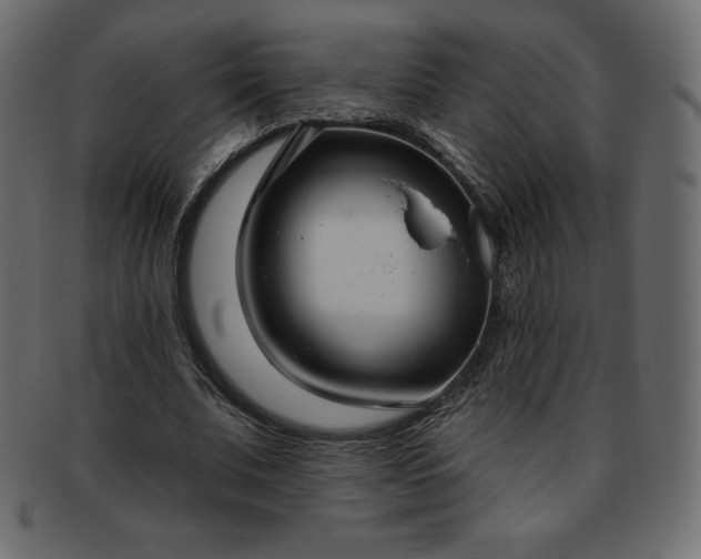 X0000093360679200710191057