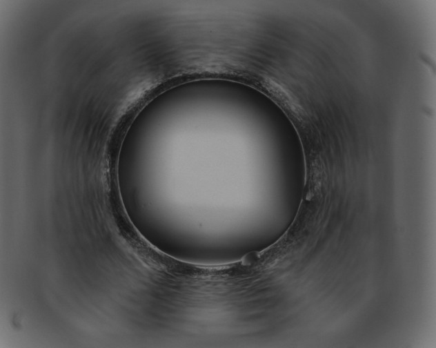 X0000093360680200710191057